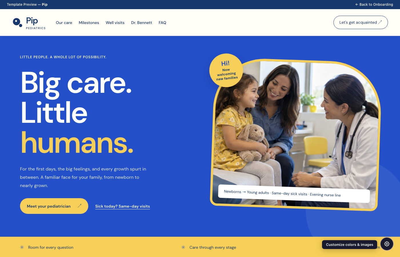 Pip website preview